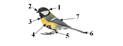 040166jy-4e3e-405x151.png