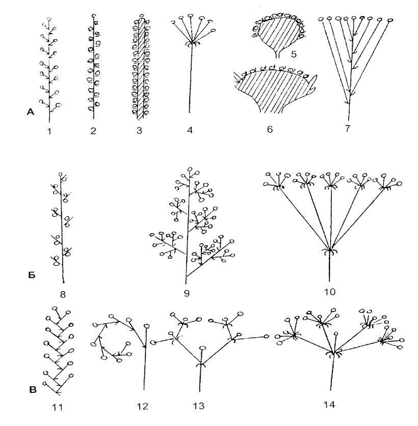040166zn-41bf-820x835.jpg