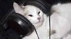 Listening 