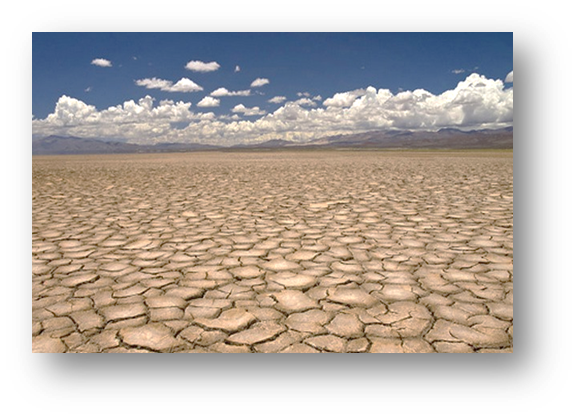 040169gy-4450-578x418.png