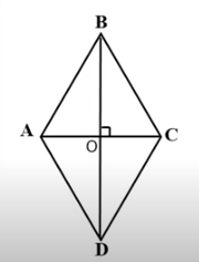 040169vo-cd2d-180x237.png
