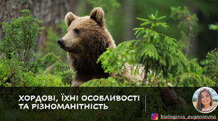 Хордові, їхні особливості та різноманітность