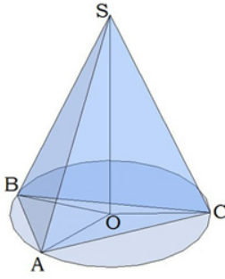 04016bzk-5047-252x313.png