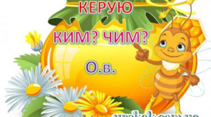 (Копія) Іменники жіночого роду на -а, -я в орудному відмінку однини