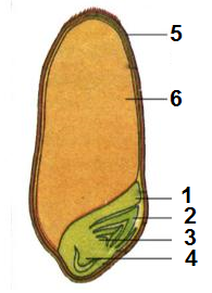 04016f6f-4e08-195x270.png