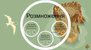 Урок з теми "Статеве розмноження організмів"