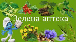 Навчально-виховний  проєкт в НУШ: „Зелена аптека”