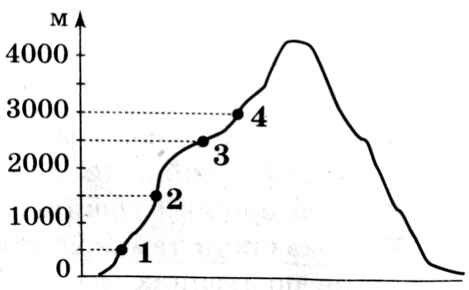04016n6m-79f5-940x582.png
