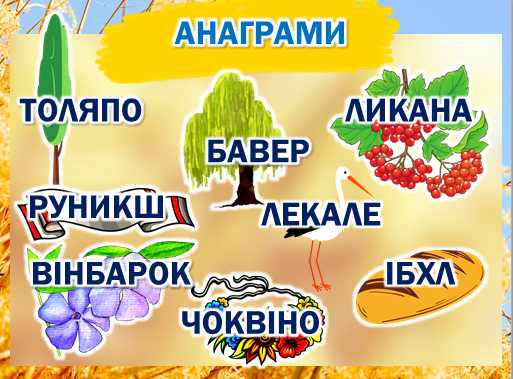 04016oi9-50cb-513x379.png