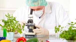 Основи стандартизації та контролю якості харчової продукції