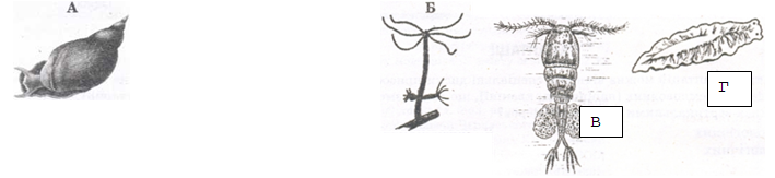 04016qoh-5b1f-709x163.png