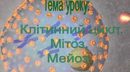 Поділ клітин : мітоз ,мейоз. Виконати лабораторне дослідження "Фази мітозу"