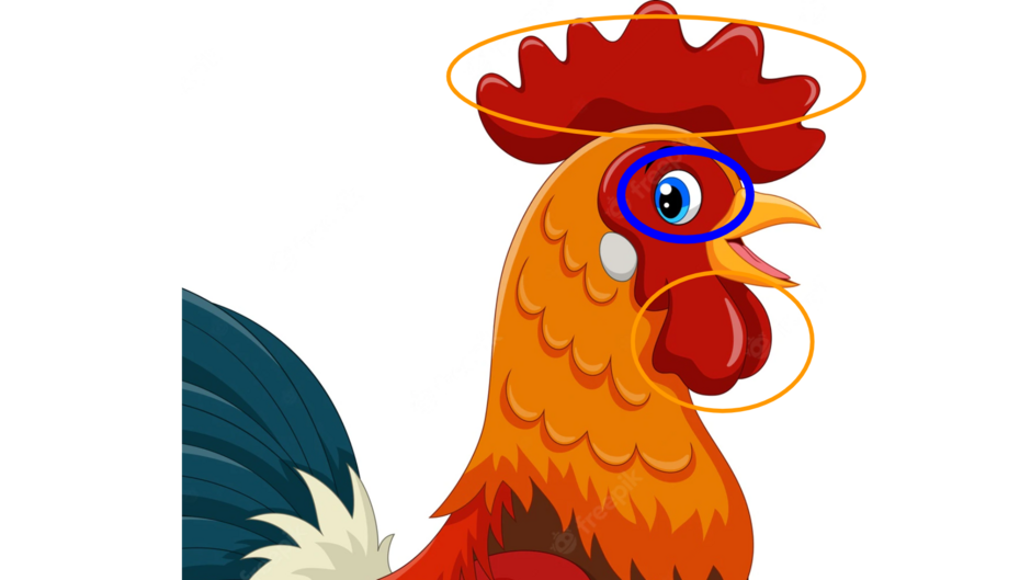 04016tf6-102b-940x529.png