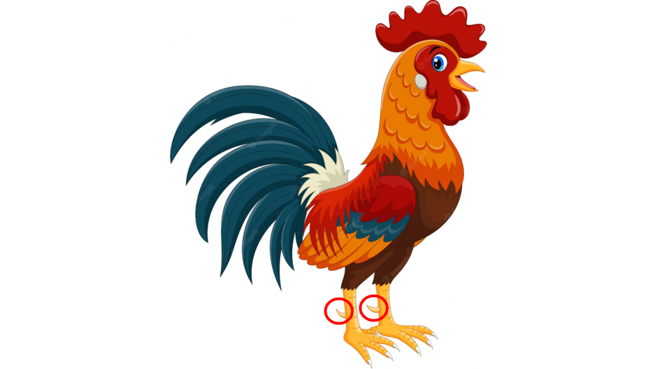 04016tf7-fa56-940x529.png