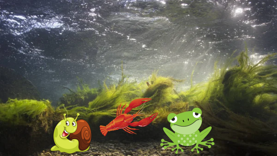 04016tlb-5d0d-940x529.png