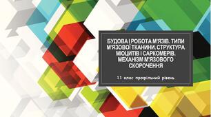Значення ендокринної та нервової систем для адаптації