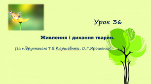 Презентація до уроку. Живлення і дихання тварин (за підручником Т.В.Коршевнюк, О.Г.Ярошенко)