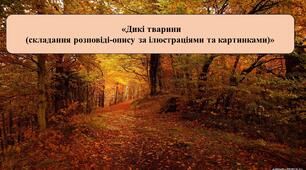 Презентація на тему: «Дикі тварини»