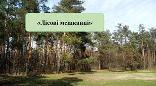 Презентація на тему: «Лісові мешканці»