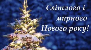 Вельмишановні Пані і Панове