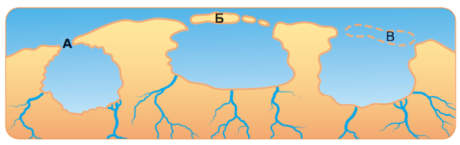 04016vgo-4370-921x292.png