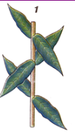 04016w8y-60d8-106x192.png