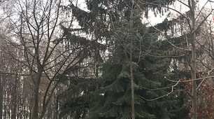 «Інновації в організації освітнього процесу позашкілля»