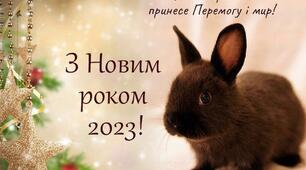 Інноваційний простір позашкільного закладу:  методичний розвиток освітнього потенціалу