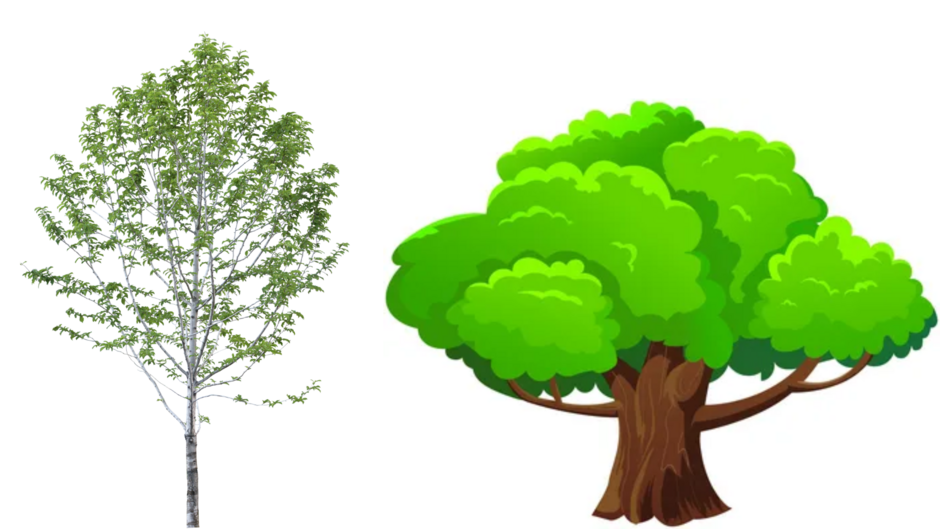 04016x1p-1e2f-940x529.png