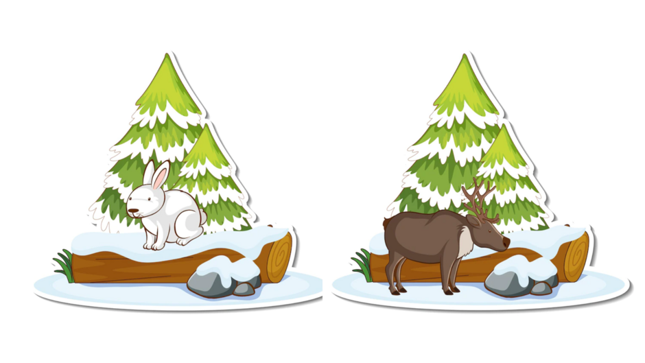 04016x1w-4ee2-940x529.png