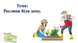 Рослини біля дому. І. О. Большакова, М. С. Пристінська. 2 клас. ІІ частина