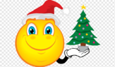 04016ybs-7117-163x96.png