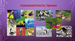 Різноматність рослин і тварин