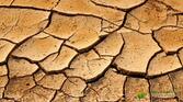 Глинистий грунт: що посадити - корисні статті про садівництво від Agro-Market