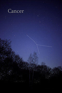 04016zz2-44ae-240x359.jpg