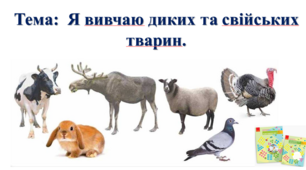 Я вивчаю диких та свійських тварин. І. О. Большакова, М. С. Пристінська. 2 клас. ІІ частина