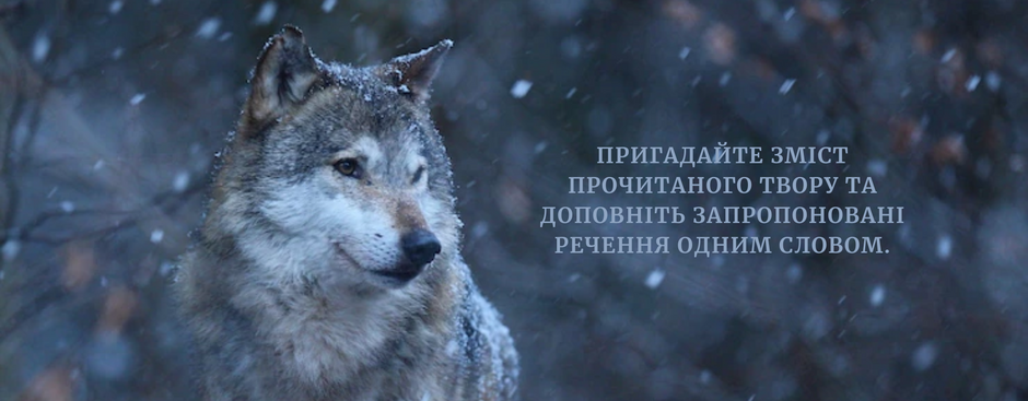 040171q4-a5f9-940x367.png