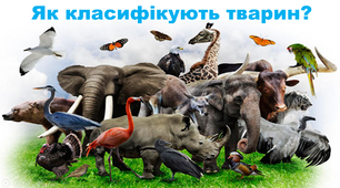 Презентація "Як класифікують тварин?"
