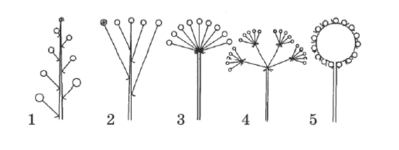040172vm-2e23-572x215.png