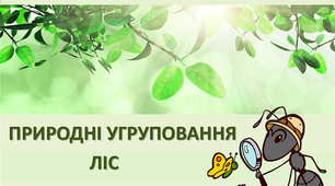 Презентація «Природні угруповання. Ліс»