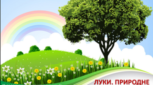 Презентація «Луки. Природне угрупування»
