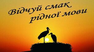 Неологізми в українській мові 20-х років ХХІ століття