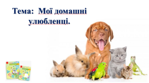 Мої домашні улюбленці. І. О. Большакова, М. С. Пристінська. 2 клас. ІІ частина