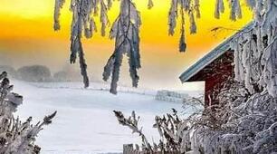 Повилась стежка стрічкою до хати