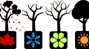 Конспект уроку та матеріали Seasons and Weather
