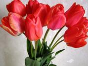 040176k5-ca00-178x134.jpg