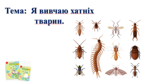 Я вивчаю хатніх тварин. І. О. Большакова, М. С. Пристінська. 2 клас. ІІ частина
