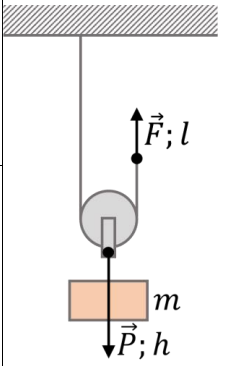 040177ox-1e0d-231x366.png