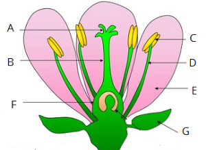 040178bi-94e9-300x219.png