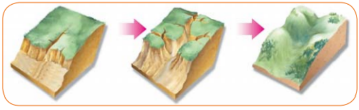 04017ae0-c986-709x217.png